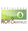 Roy et Ripaud